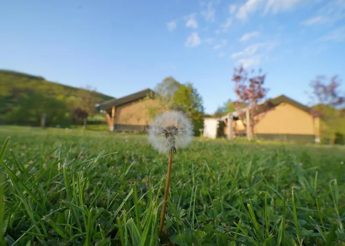 Safaritent Op Berkel * Bockholtz
