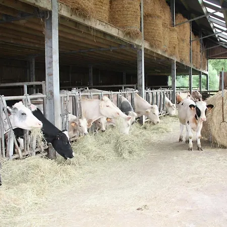 Safaritent Op Berkel Campeggio *