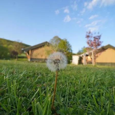 Safaritent Op Berkel * Bockholtz