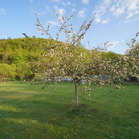 Safaritent Op Berkel * Bockholtz