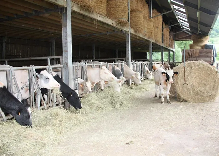 Safaritent Op Berkel Campsite *