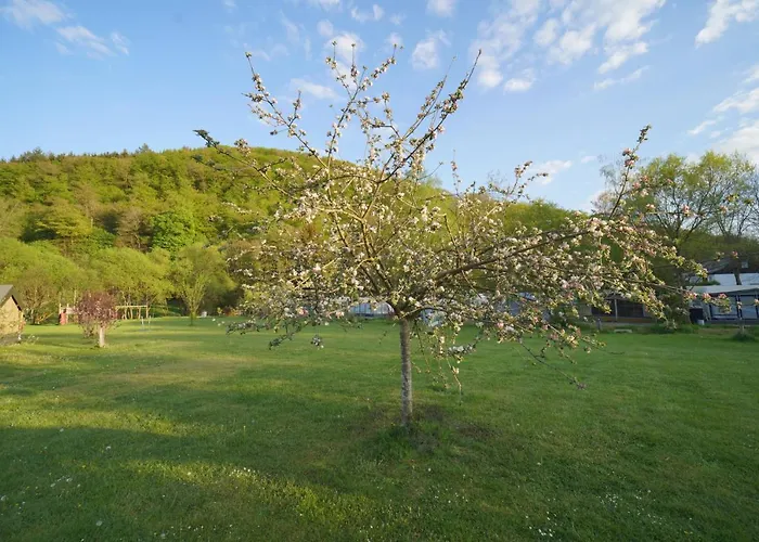 Safaritent Op Berkel * Bockholtz